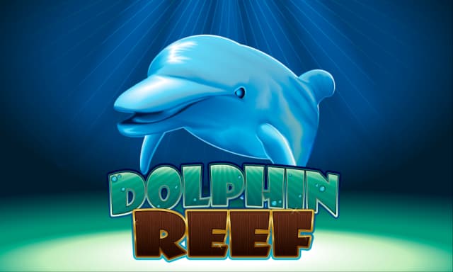 Dolphin Reef